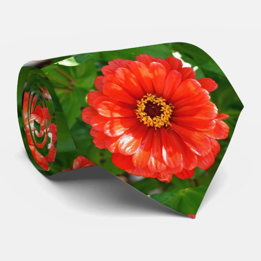 Cravate Zinnia orange (Roulé)