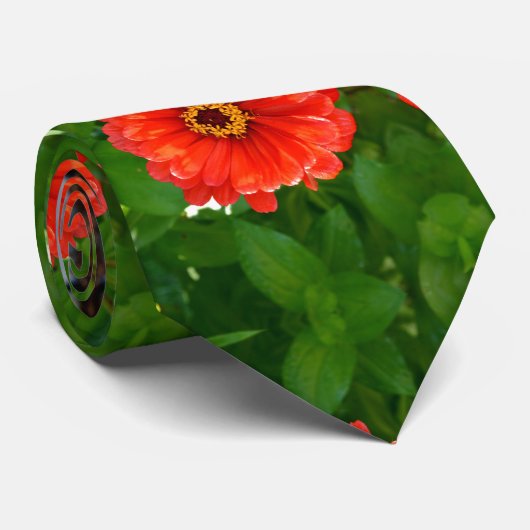Cravate Zinnia orange, fleurs orange, fleurs rouges (Roulé)