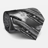 Cravates de F-14 Tomcat (Roulé)