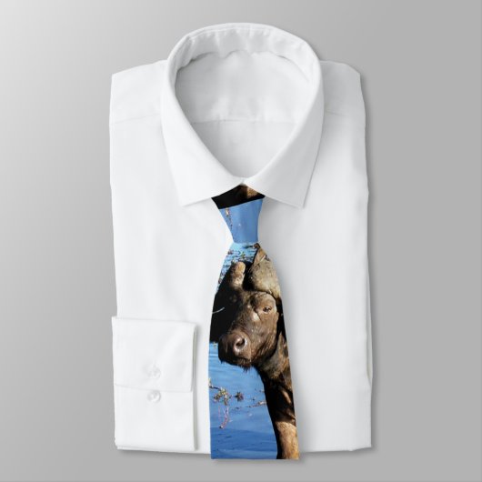 Cravates de safari de Buffalo (Attaché)