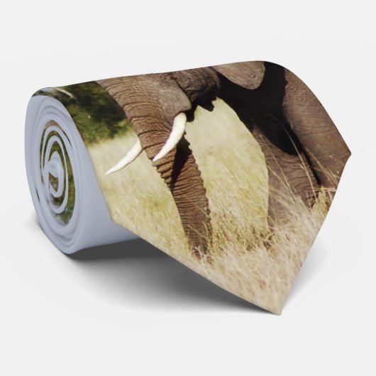 Cravates d'éléphant (Roulé)
