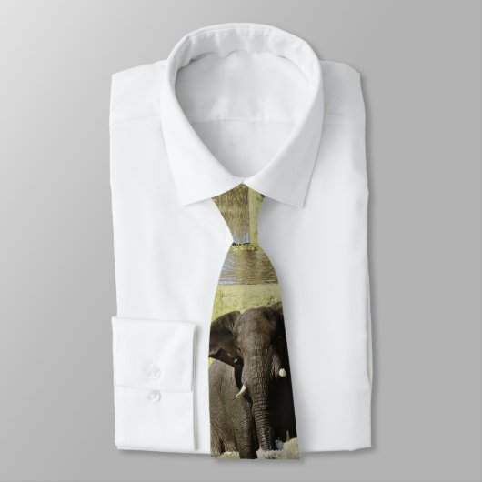 Cravates d'éléphant africain (Attaché)