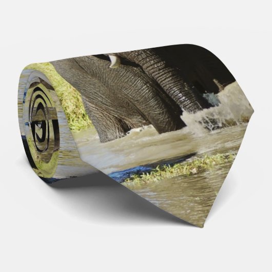 Cravates d'éléphant africain (Roulé)