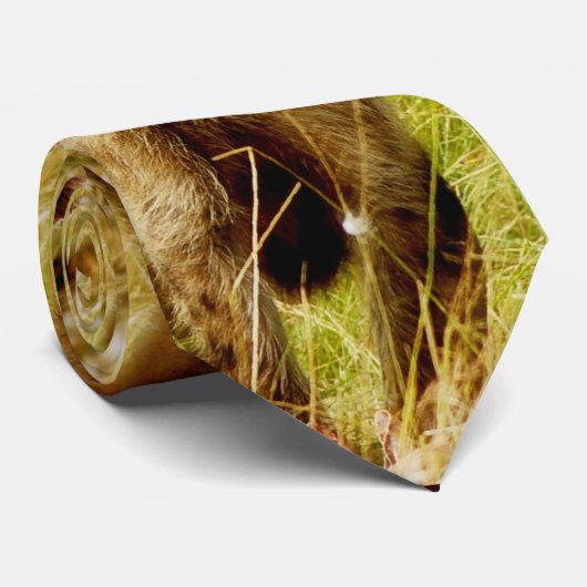 Cravates d'hyène (Roulé)