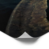 Crawfish Boil Poster (Hoek)