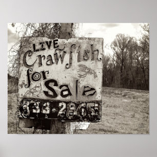 Crawfish [Kunstdruk] Poster
