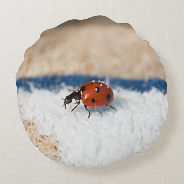 Crawling ladybug rond kussen (Achterkant)