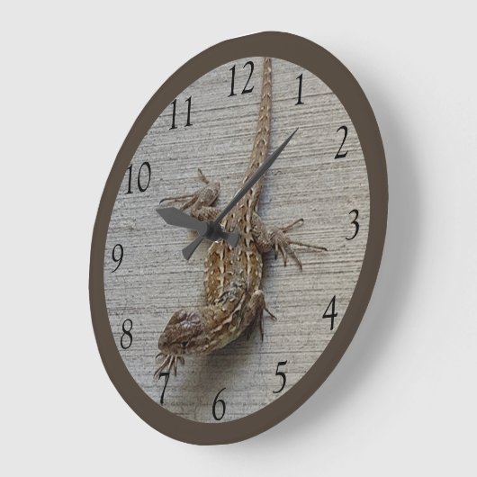 Crawling Lizard Grote Klok (Hoek)