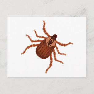 Crawly Realistic Illustration Briefkaart