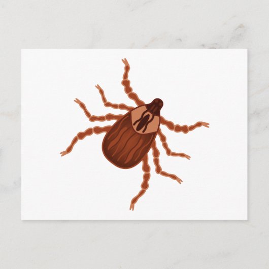 Crawly Realistic Illustration Briefkaart (Voorkant)