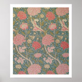 'Cray', 1884 Poster (Voorkant)