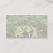 Crayfish- close-up underwater visitekaartje (Achterkant)