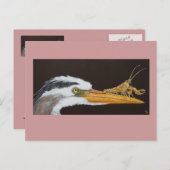 Crayfish leert briefkaart lekken (Voorkant / Achterkant)