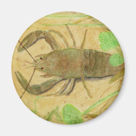 Crayfish Magneet (Voorkant)