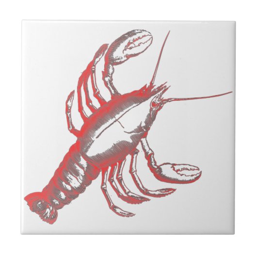 Crayfish Tegeltje (Voorkant)