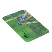 Crayon de couleur bleu dragonfly sur Magnet (Côté Droit)