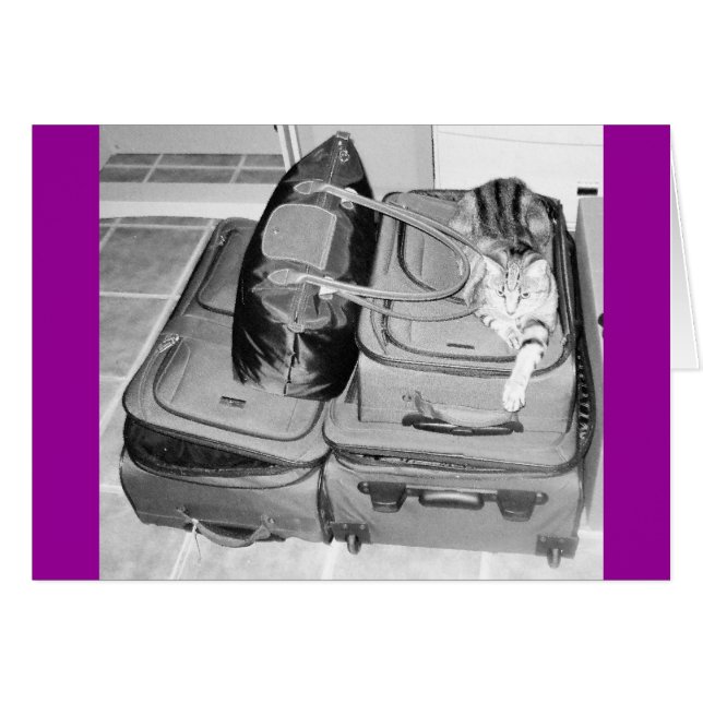 Crayon Indigo Voyager (Devant horizontal)