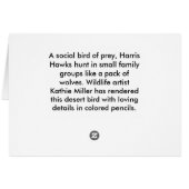 Crayons de couleur Harris Hawk (Dos Horizontal)
