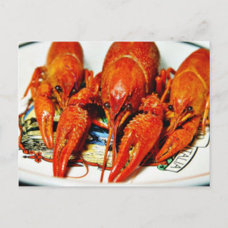 Craytfish Crawdads Briefkaart
