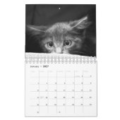 Crazy à propos du calendrier mural Cats 2023 (Jan 2027)