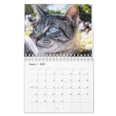 Crazy à propos du calendrier mural Cats 2023 (Mar 2027)