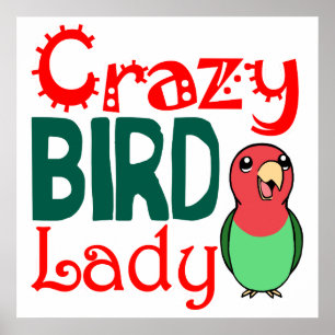Crazy bird lady poster