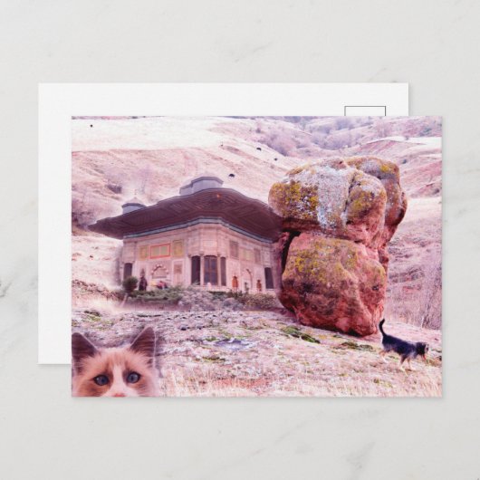 Crazy Briefkaart Dog Cat Funny Collage (Voorkant / Achterkant)