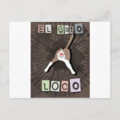 Crazy Cat Briefkaart (Voorkant)