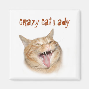 Crazy Cat Lady Magneet
