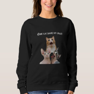 Crazy Cat Lady Man T - shirts Een Kat Kat Kort Van