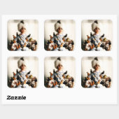 Crazy cat lady stickers (Vel)