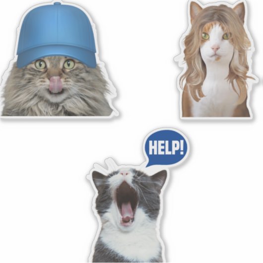 Crazy Cat Memes Sticker (Voorkant)