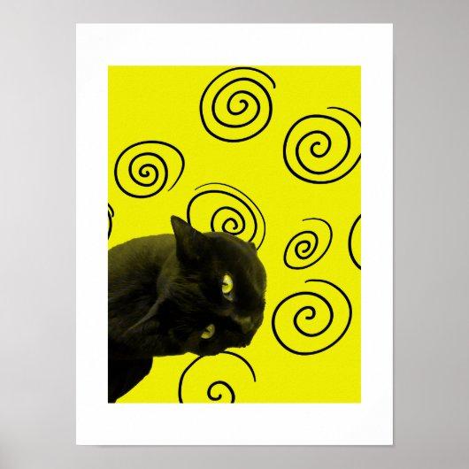 Crazy Cat Poster (Voorkant)