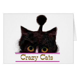 CRAZY CATS