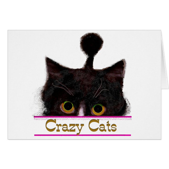 CRAZY CATS (Voorkant Horizontaal)