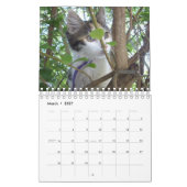 Crazy Cats en Kittens, Kalender (Mar 2027)