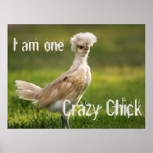 Crazy Chick Funny Poster (Voorkant)