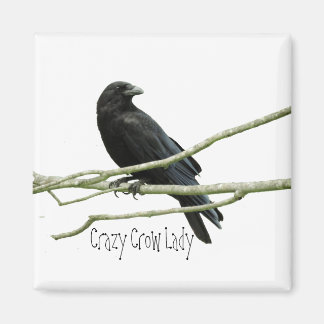 Crazy Crow Lady magneet