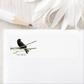 Crazy Crow Lady retour adres labels (Insitu)