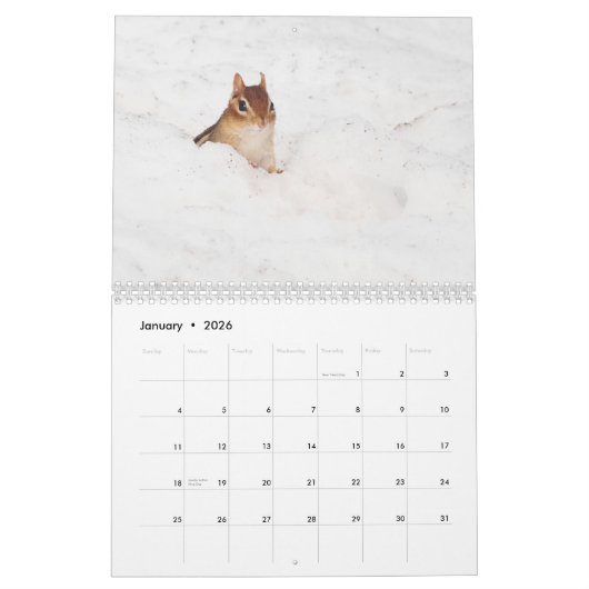 Crazy Cute Chipmunks 2011 Kalender (Jan 2026)