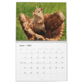 Crazy Cute Chipmunks 2011 Kalender (Mar 2027)
