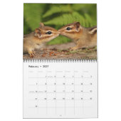 Crazy Cute Chipmunks 2012 Calendar Kalender (Feb 2027)