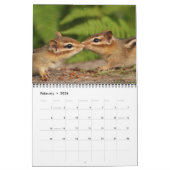 Crazy Cute Chipmunks 2012 Calendar Kalender (Feb 2026)