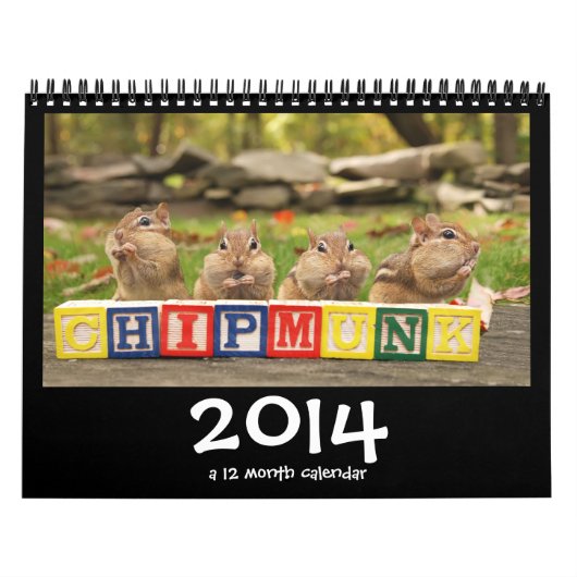 Crazy Cute Chipmunks 2014 Calendar Kalender (Hoes)