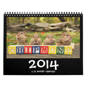 Crazy Cute Chipmunks 2014 Calendar Kalender