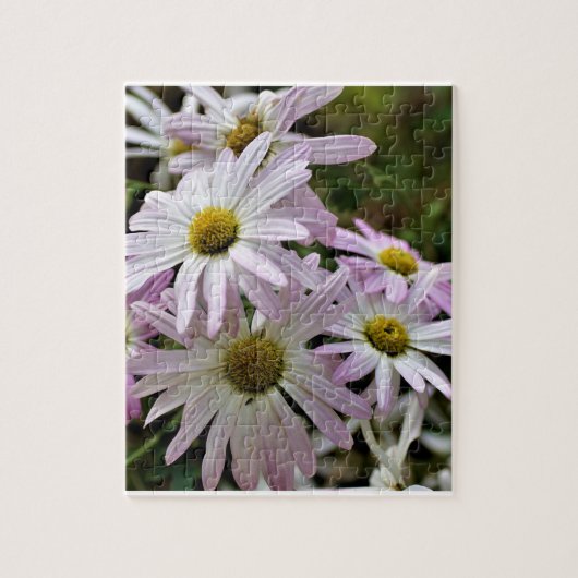 Crazy Daisies Puzzel (Verticaal)