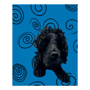 Crazy Dog Perfect Poster