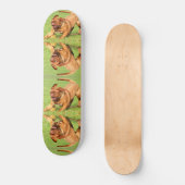 Crazy Dog Skateboard (Voorkant)