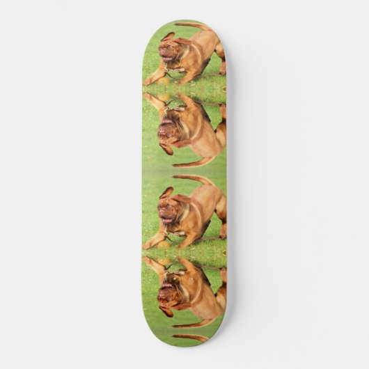Crazy Dog Skateboard (Voorkant)