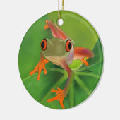 Crazy Frog Ornament met achtergrond (Links)